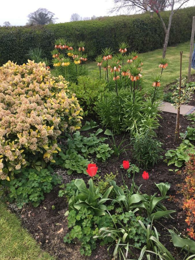 The Rag House Bed and Breakfast Upton upon Severn Buitenkant foto